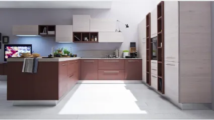 Cucina Moderna angolare Zenzero in Rovere laccato Vinaccia di Arrex